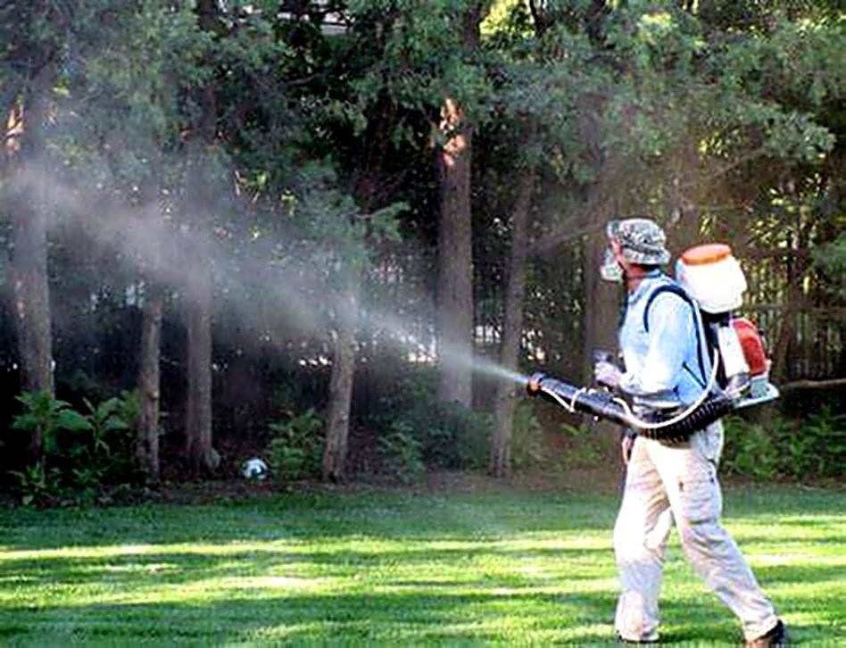 A technician with a backpack sprayer treating trees and shrubs in a backyard